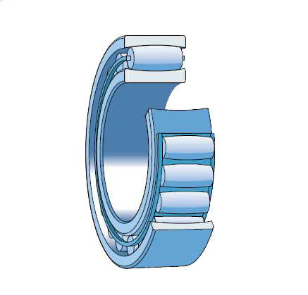 Cuscinetti toroidali a rulli CARB con tenute incorporate 